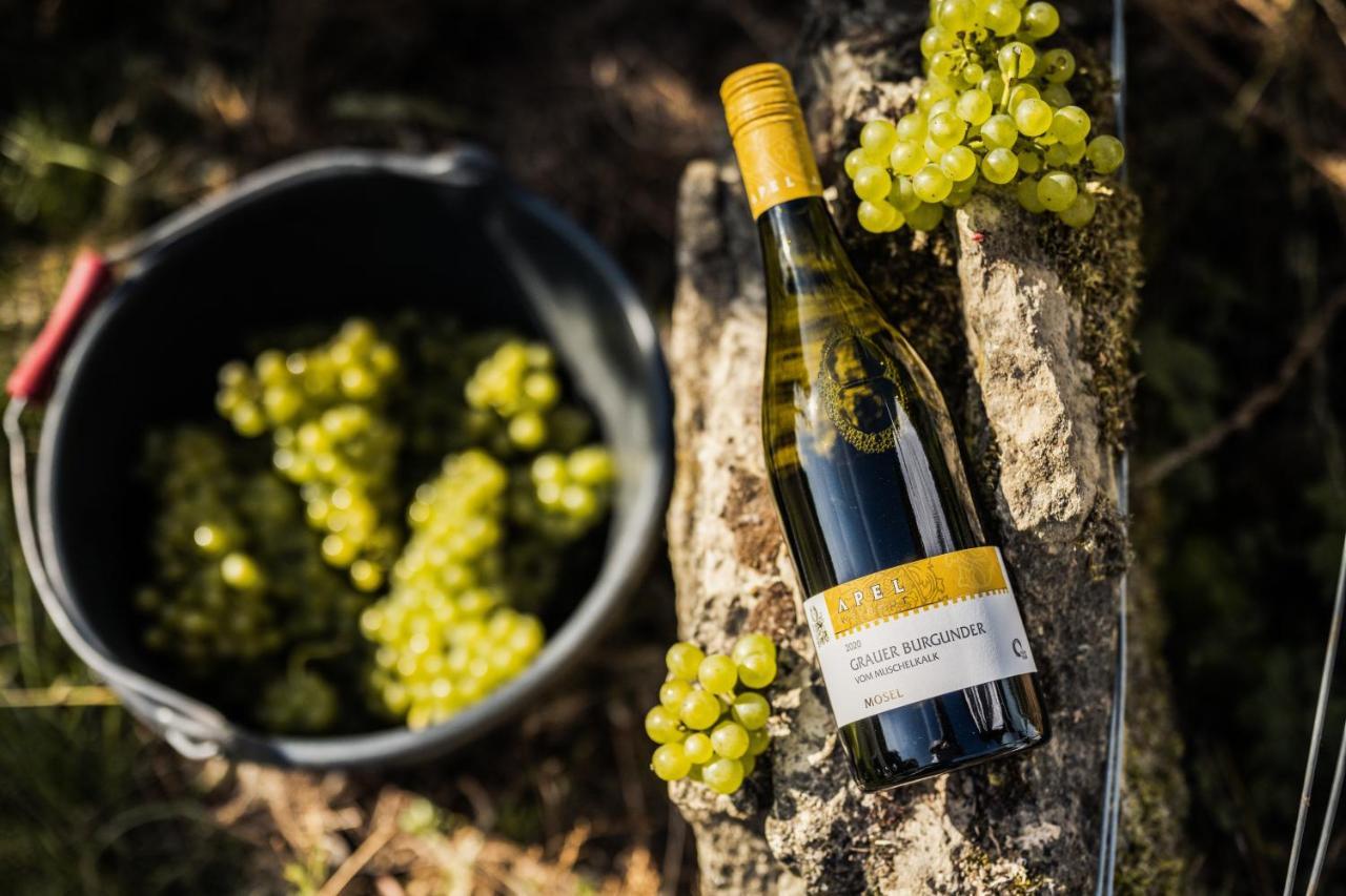 Weingut Und Gaestehaus Apel نيتيل المظهر الخارجي الصورة
