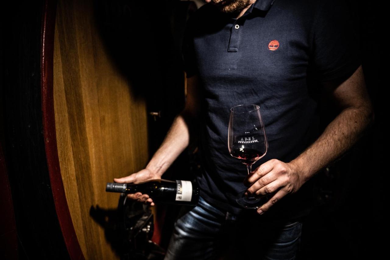 Weingut Und Gaestehaus Apel نيتيل المظهر الخارجي الصورة