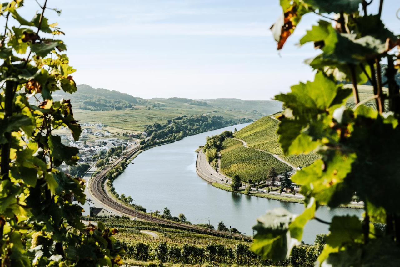 Weingut Und Gaestehaus Apel نيتيل المظهر الخارجي الصورة