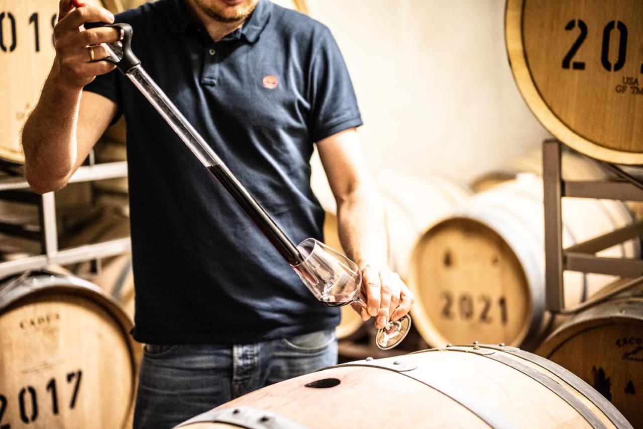 Weingut Und Gaestehaus Apel نيتيل المظهر الخارجي الصورة