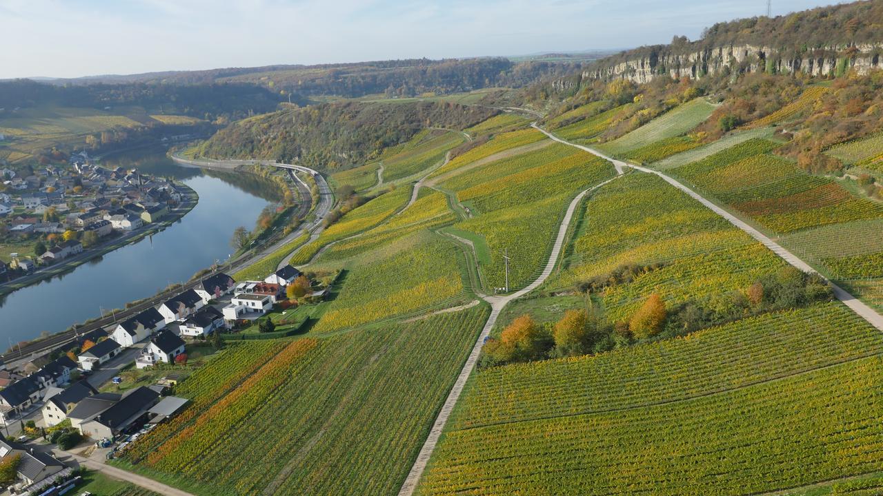 Weingut Und Gaestehaus Apel نيتيل المظهر الخارجي الصورة
